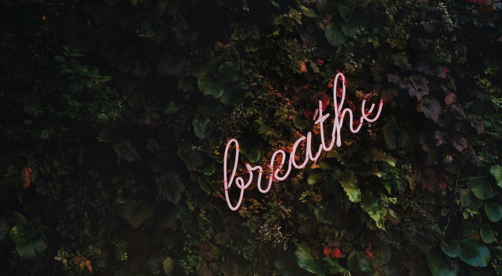 "breathe" in elegant font--a good imagery for promoting a wellness event